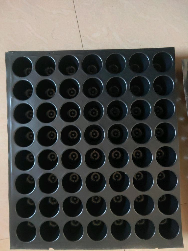 4 New Nursery Plant Tray With Total 208 Containers