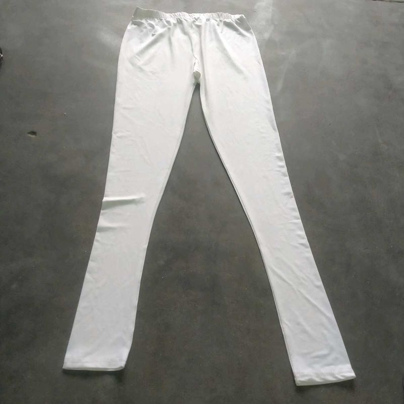 Party Wear Leggings