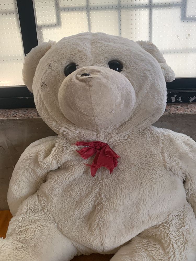 Big Size Taddy Bear