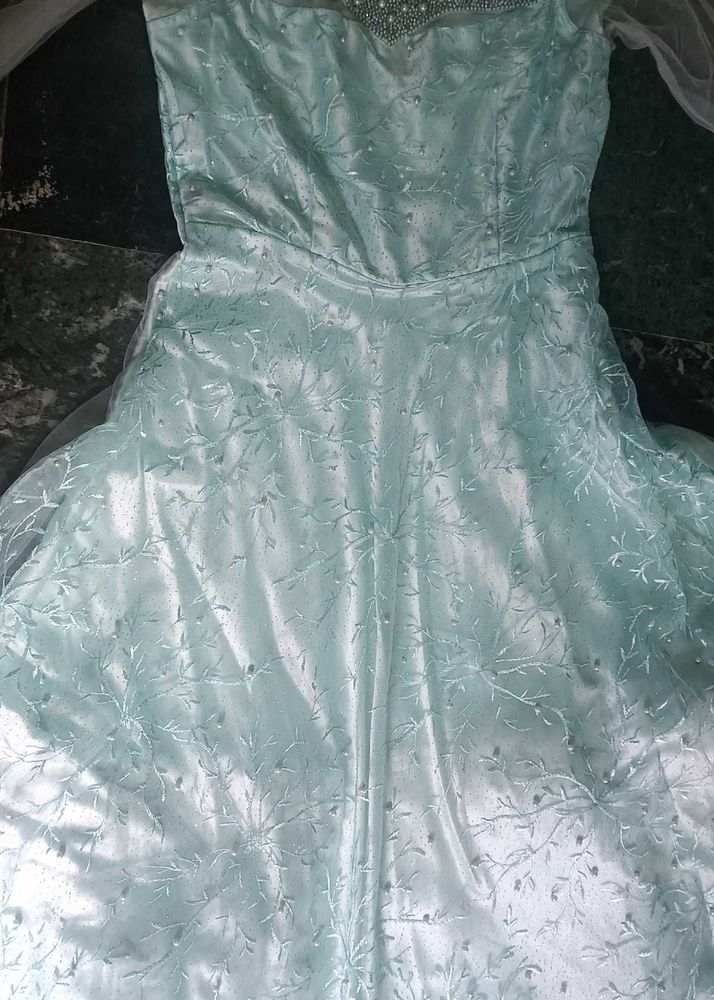 Elegant Ethnic Gown