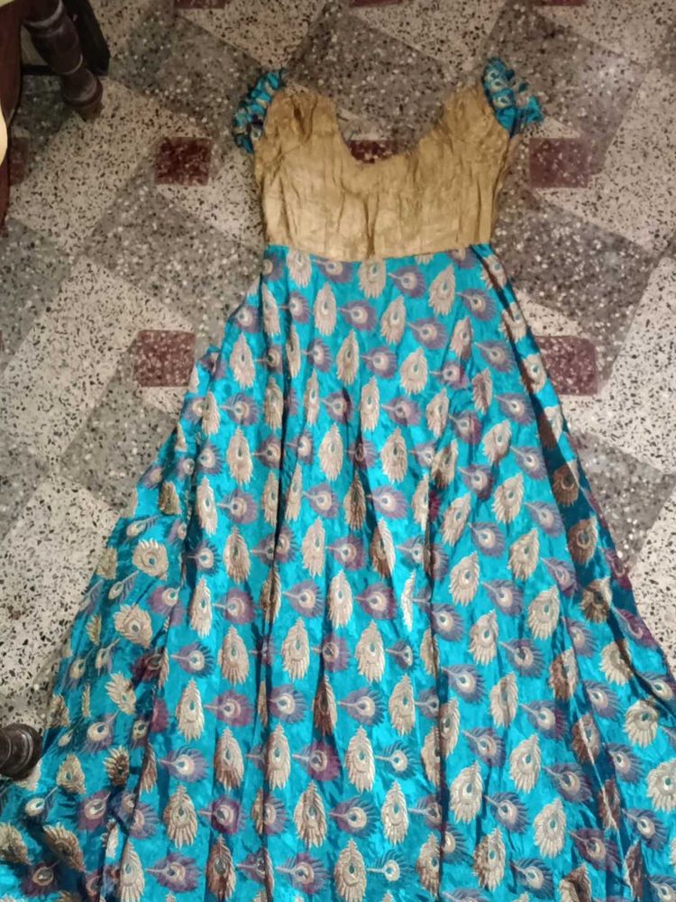 Beautiful Peacock Feather Dress