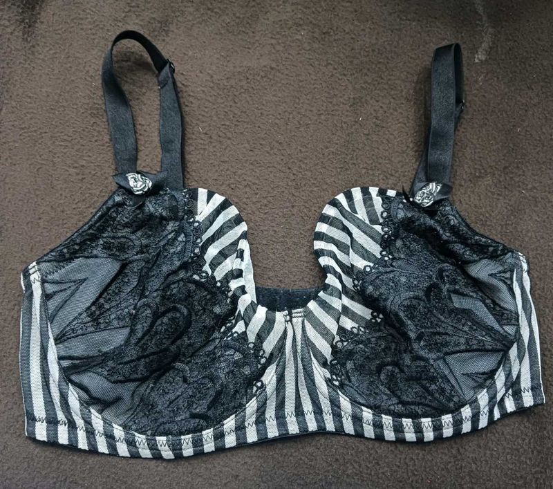 Striped Lace Bra 34E