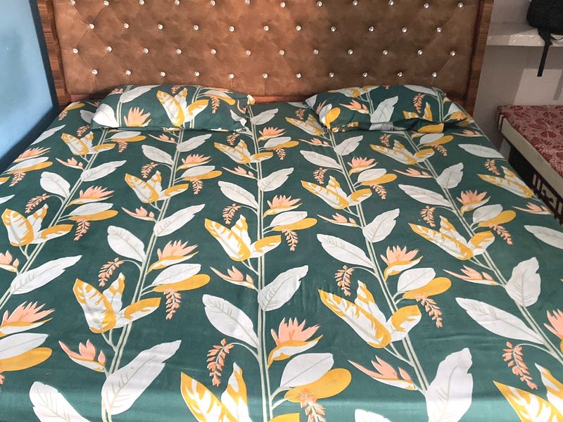 Bedsheet With 2 Pillow Cover