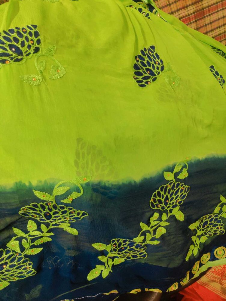 Saari With Blouse