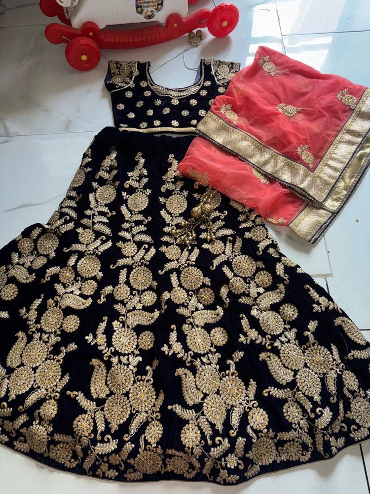 Embroidered Lehenga Choli Set