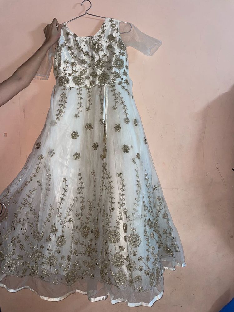 Elegant Embellished Ethnic Gown