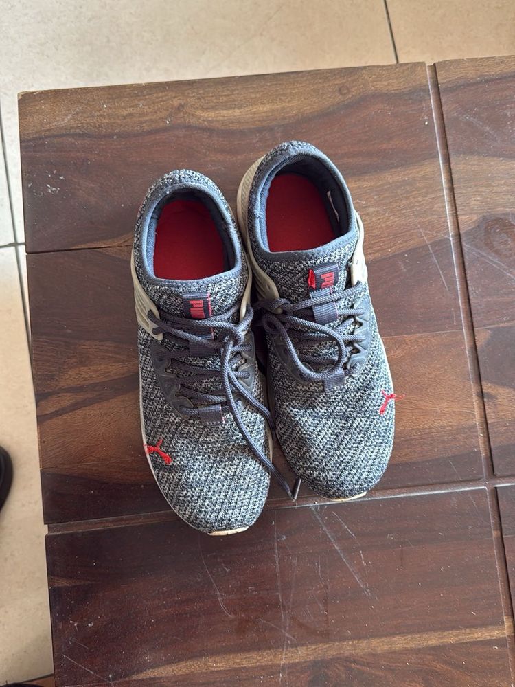 Puma Grey Knit Running Shoes