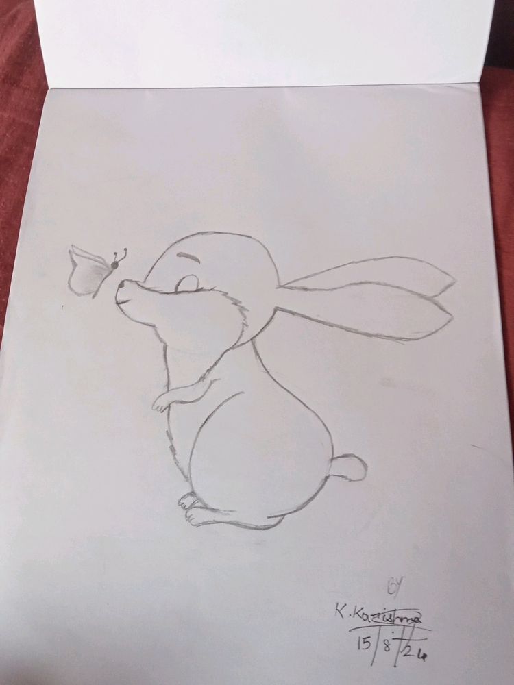 Artwork  Rabbit And A Butterfly