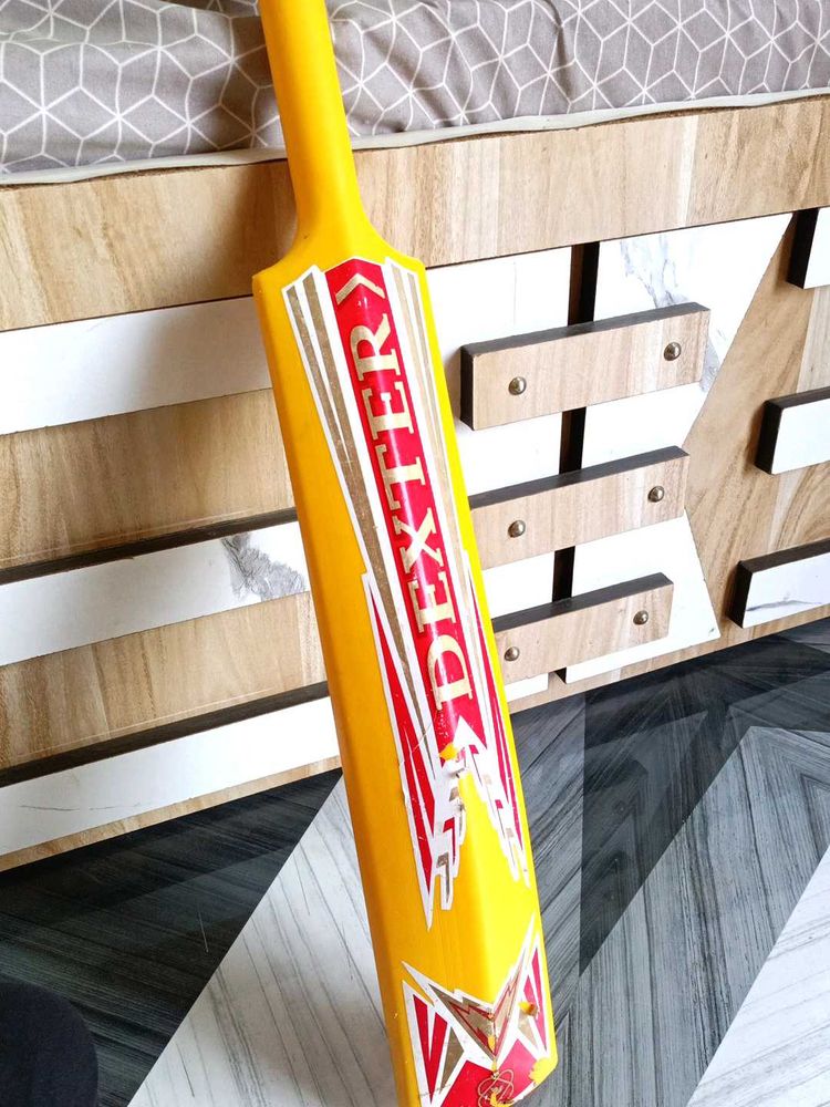 Dexter Cricket Hard Plastic Bat