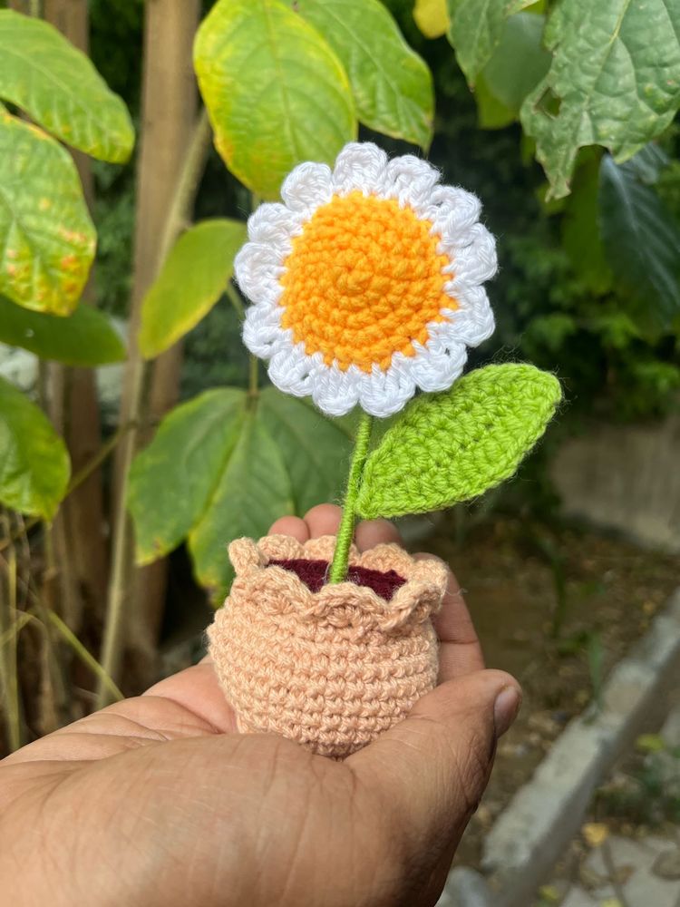Crochet Daisy in Pot