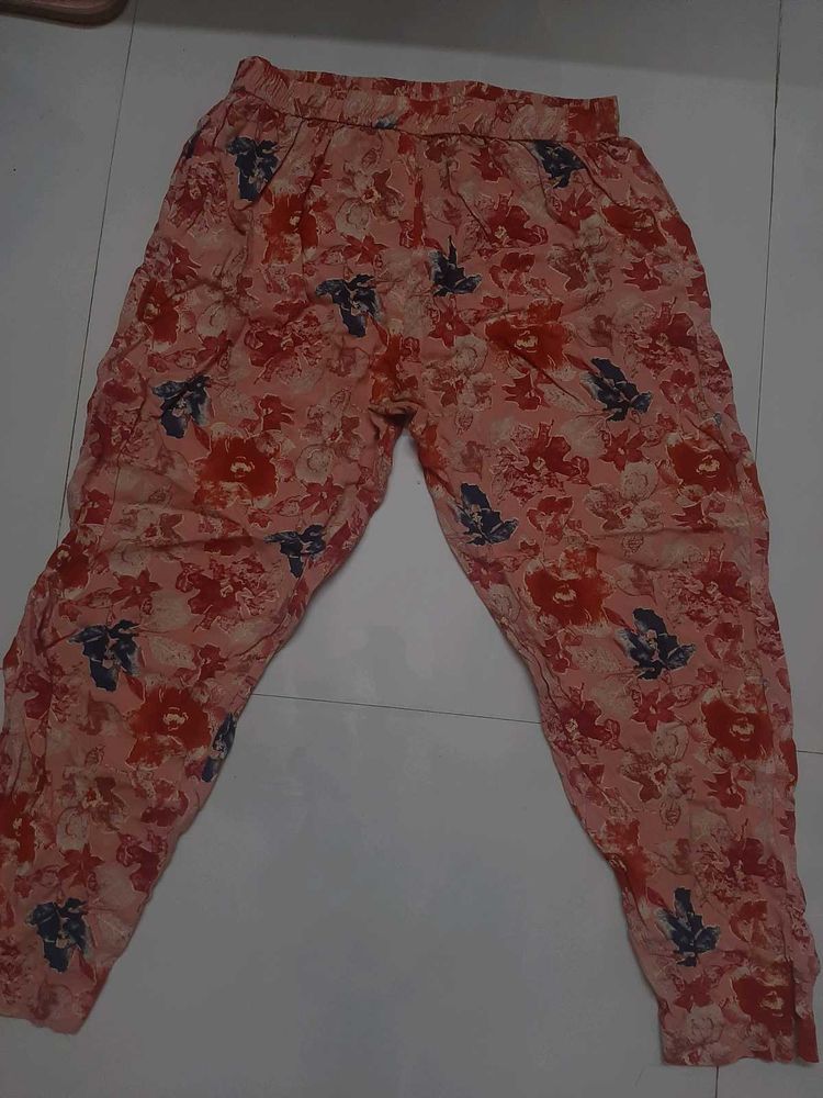 Daily Wear Pant For Women