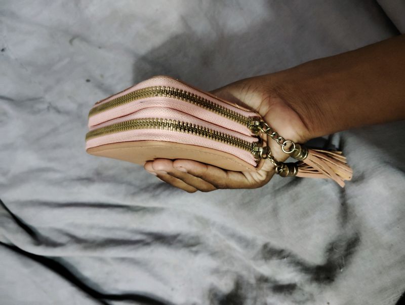 Mini Wallet Clutch 🍁