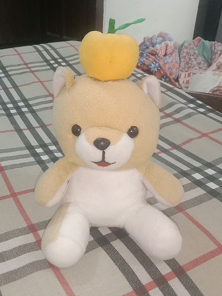 Teddy 🧸🐻