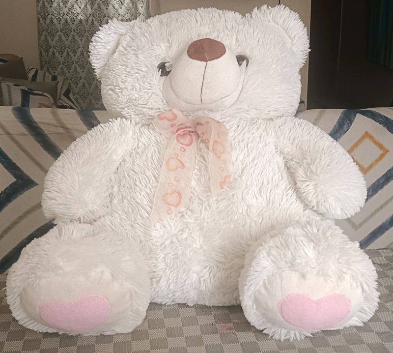 Teddy Bear