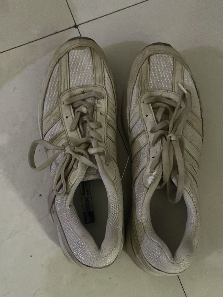 Used Sneakers