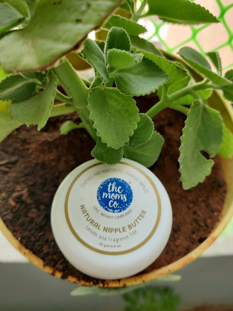 Mom&#39;s Co Nipple Butter
