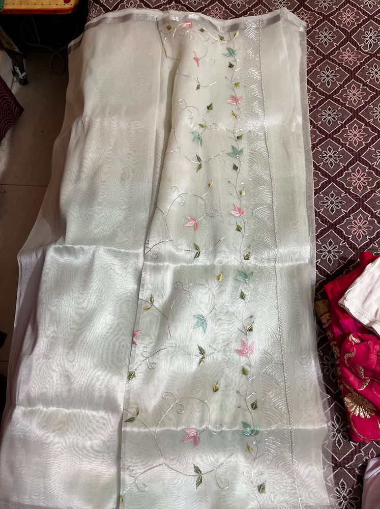 Pastel pista organza saree