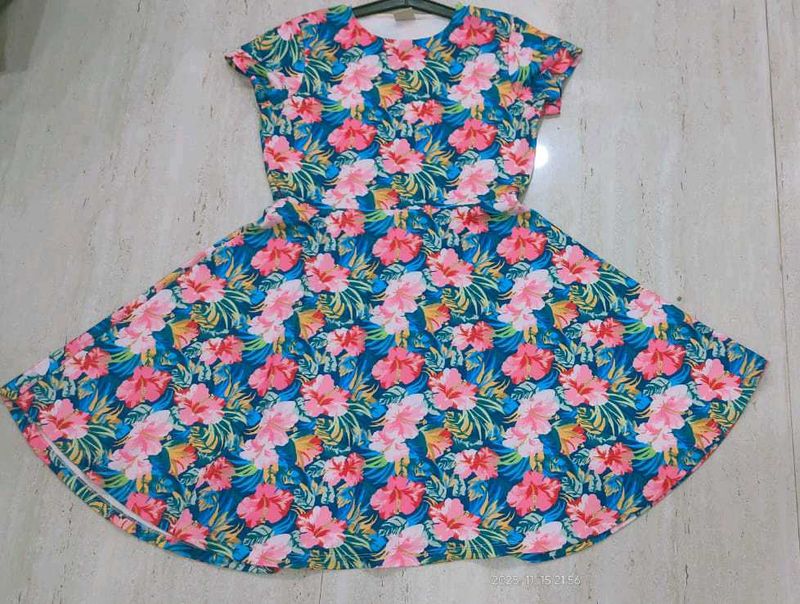 Floral Skater Dress