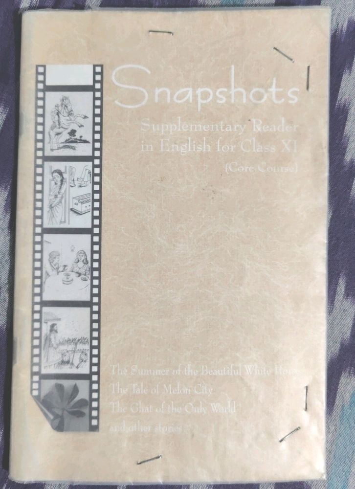 Snapshot Of Class 11th English