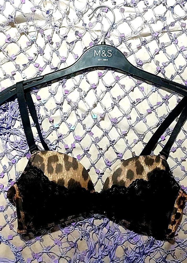 Animalier Aimerfeel
