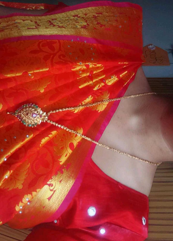 Red &amp; Gold Sari with Embellishments