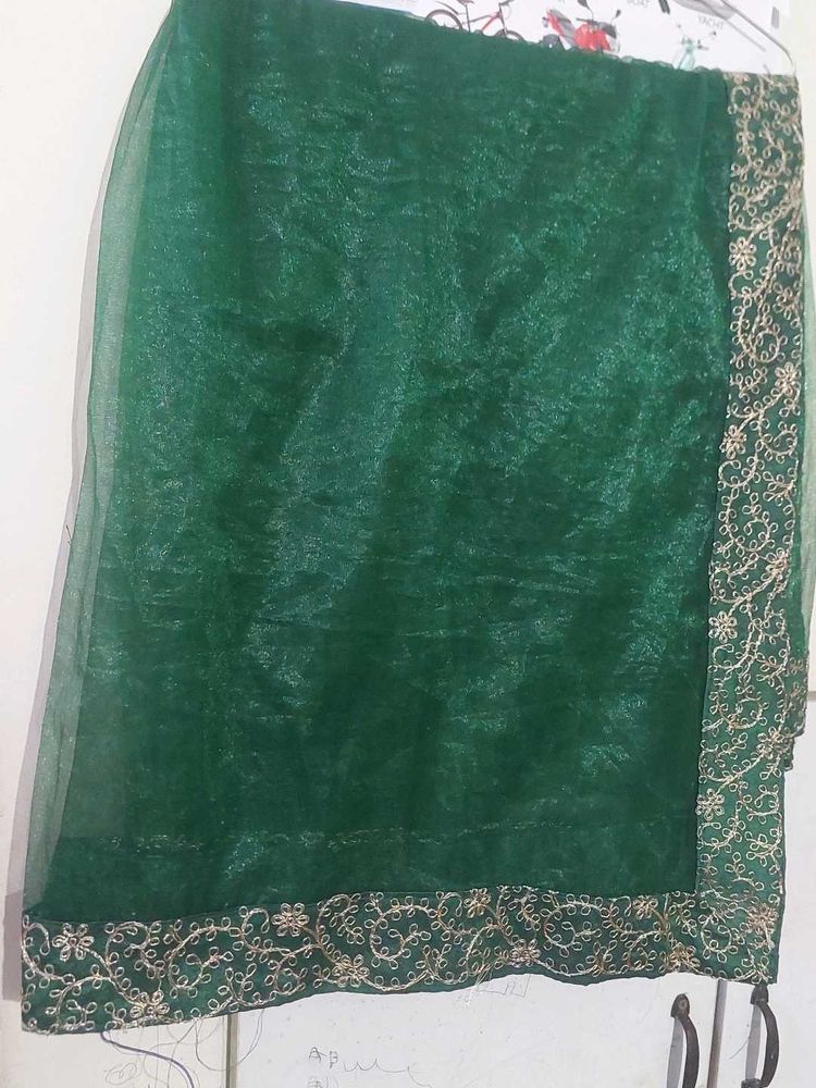 Green Net Dupptta