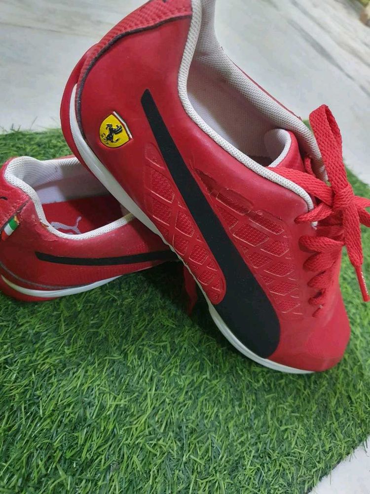 Puma Ferrari New Shoes