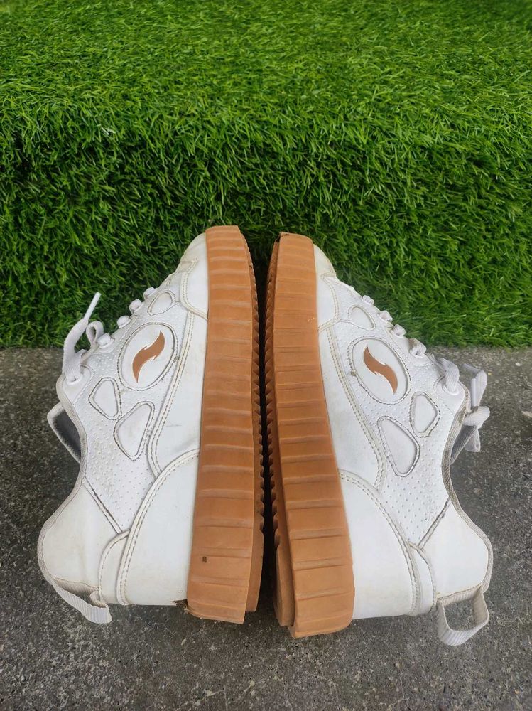 Brand New Shoe For Men