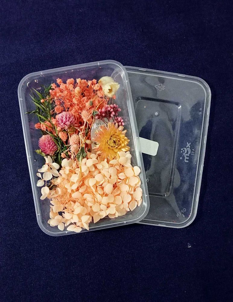 Buy Any One For 150/-