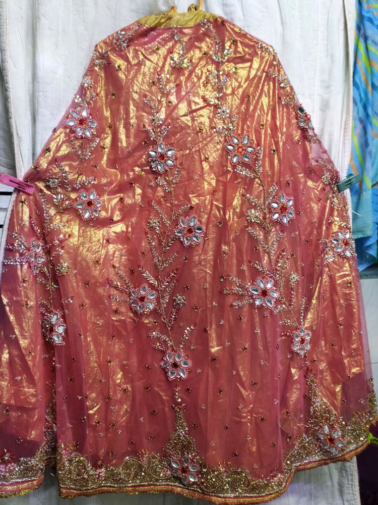 Beautiful Lehenga Choli It Is Shining ✨🌺