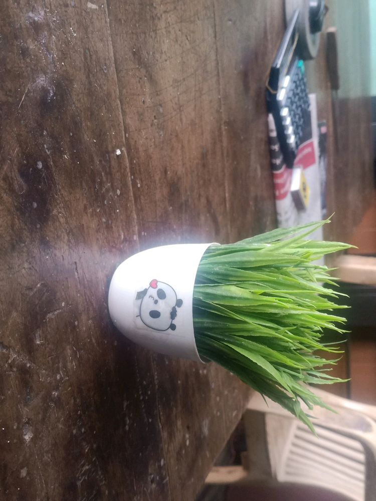 Cute ♥️😜 Artificial Pots Of 3 Pieces