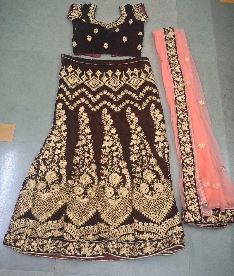Elegant Embroidered Lehenga Choli Set