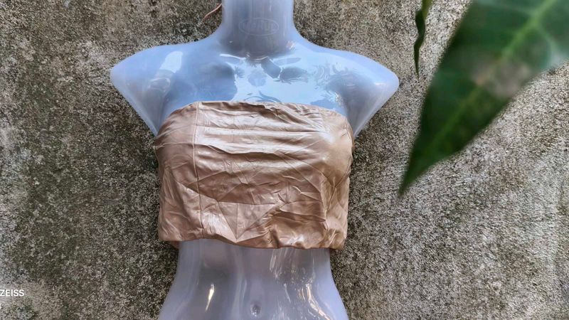 2121. Brown Tube Top