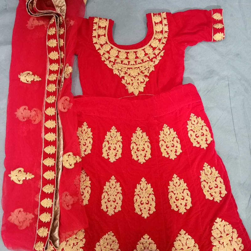 Beautiful Embroidery Lahnga Choli