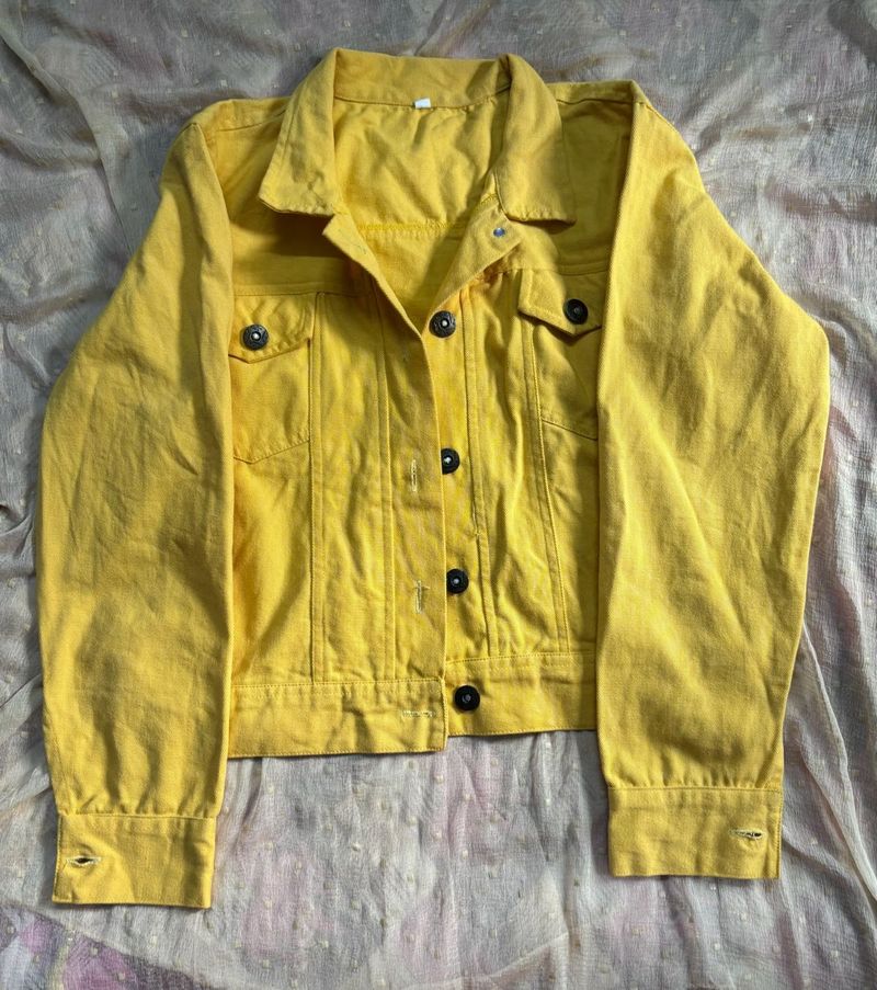 Beautiful Winter Collections