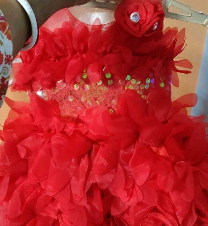 Brand New Party Flared Frock (12-18 Months)