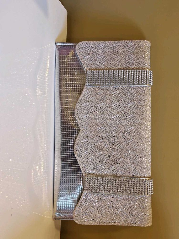 Elegant Silver Clutch