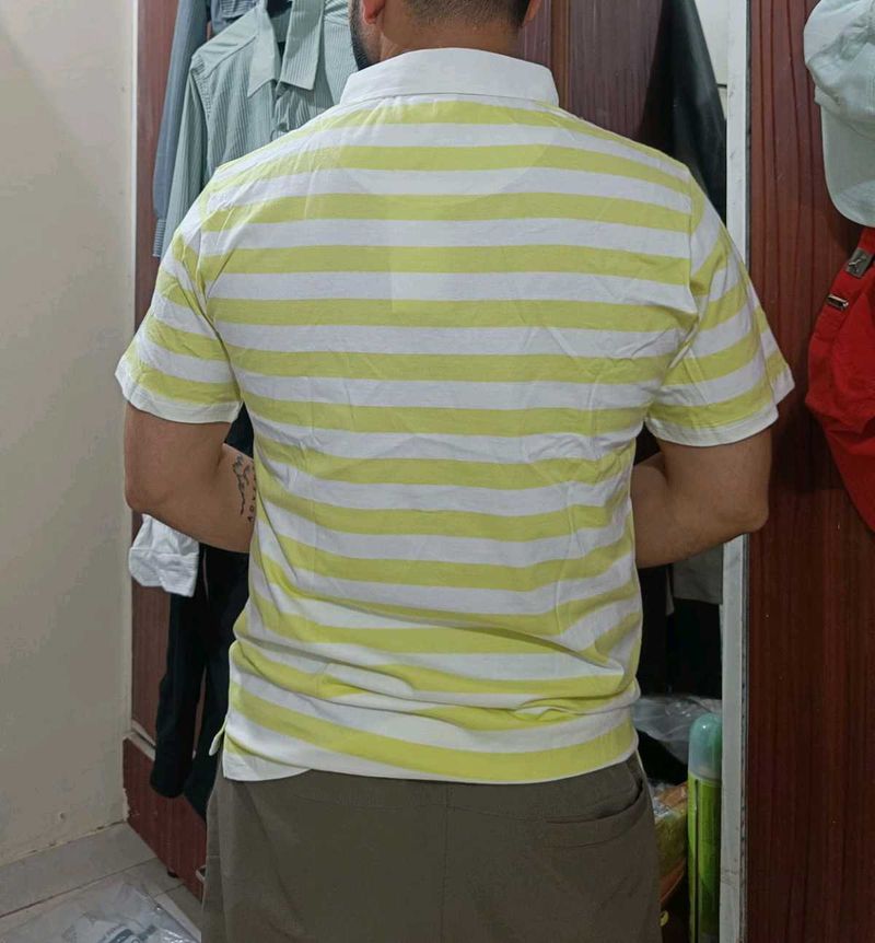 Polo Cotton Tshirt
