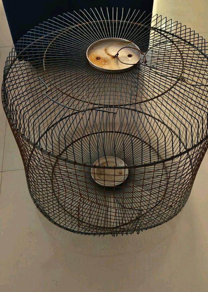 Bird Cage