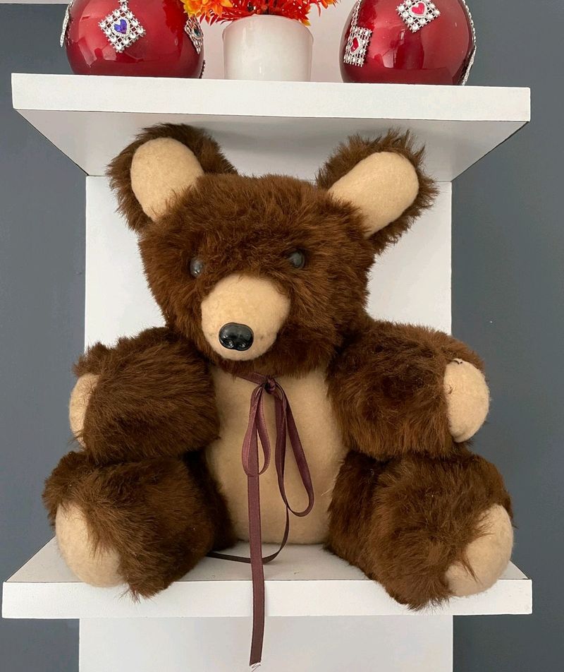 New Teddy Bear 🧸
