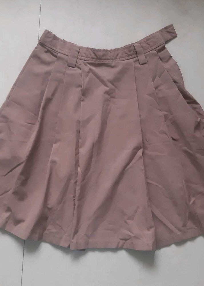 FREE BLUE Skirt with 2 brown pleated skirts