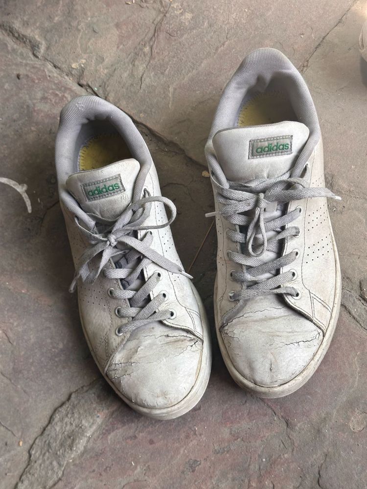 Used Adidas Advantage Sneakers