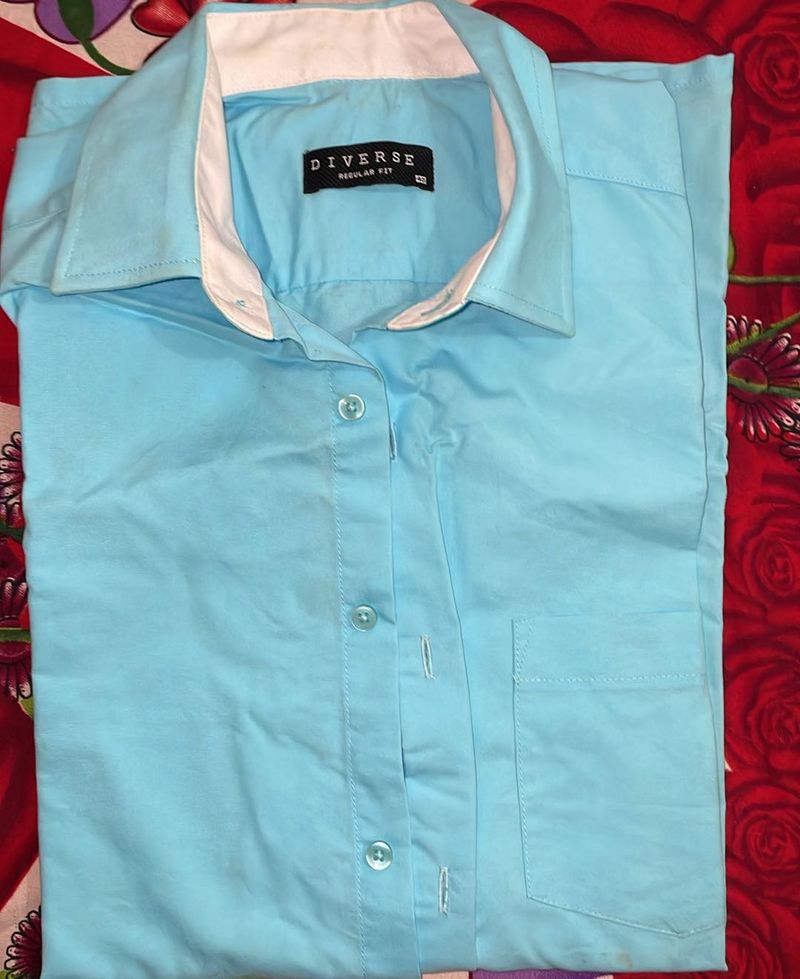 Diverse Blue Shirt