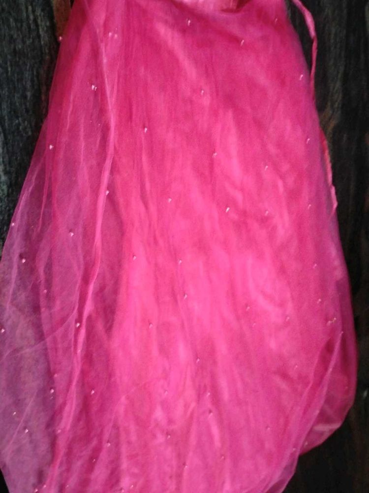 Pink Embellished Dupatta