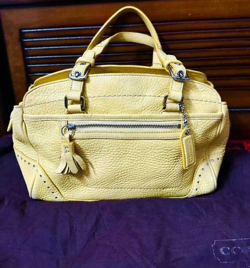 Coach Handbag (Authentic)