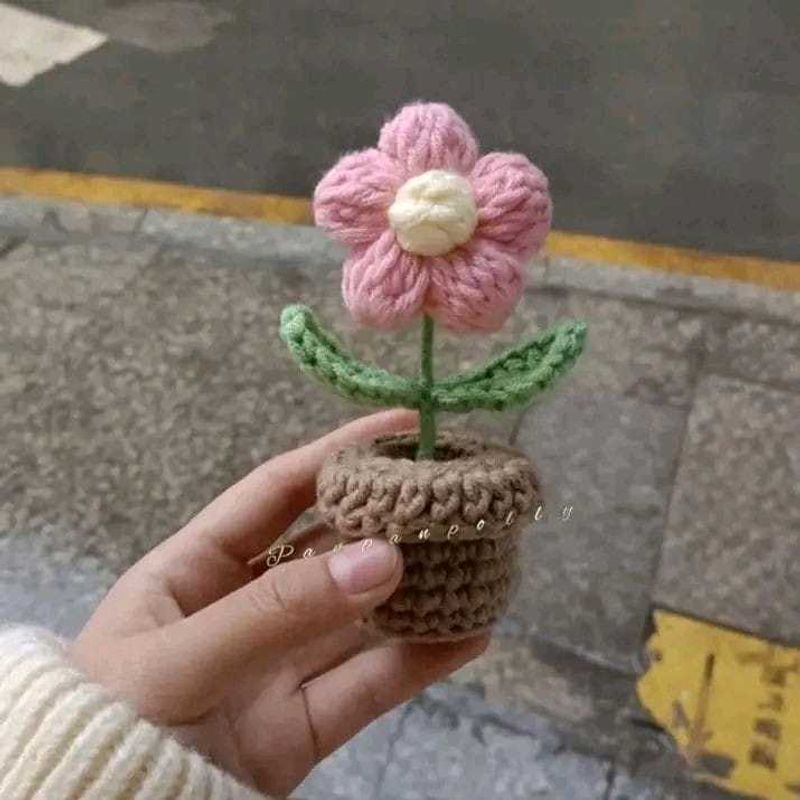 Flower Pot