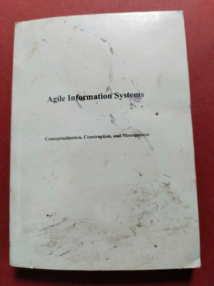 Agile Information System Book