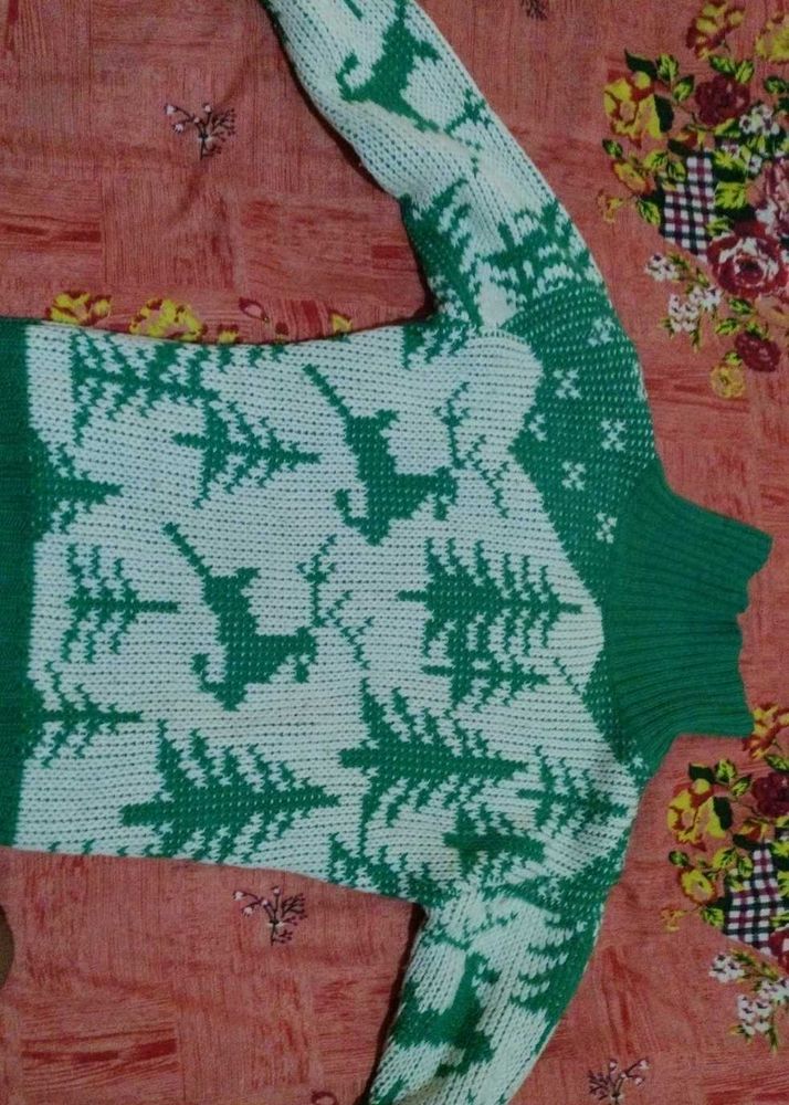 oversized Green Sweater