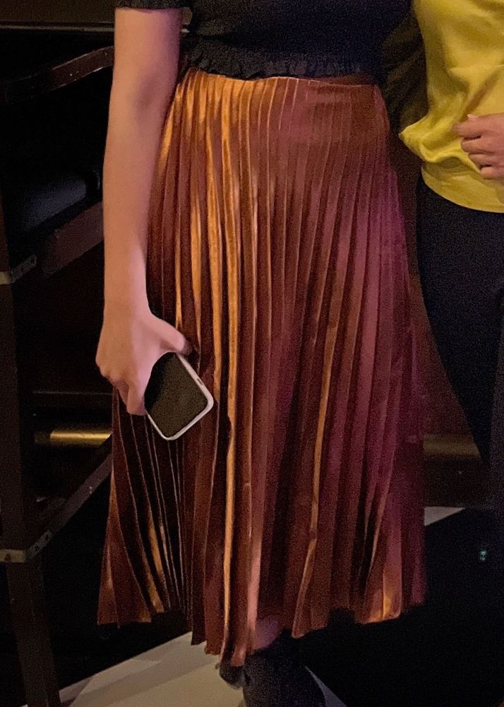 Pleated Bronze Skirt