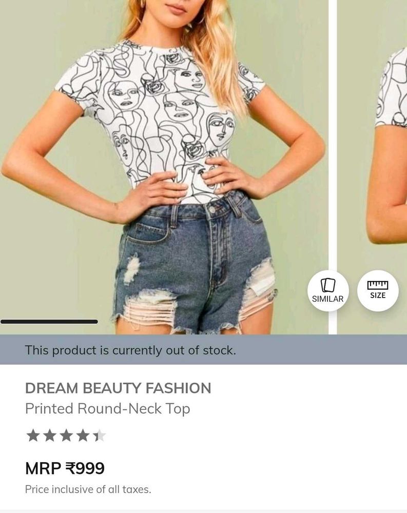 Designer Top Art Piece